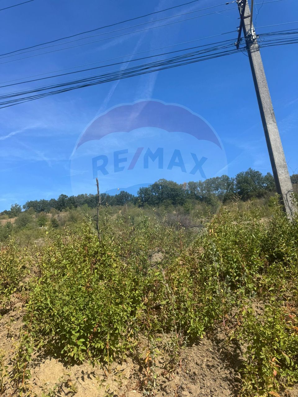 Land 6,600sqm Leamna de Sus / None