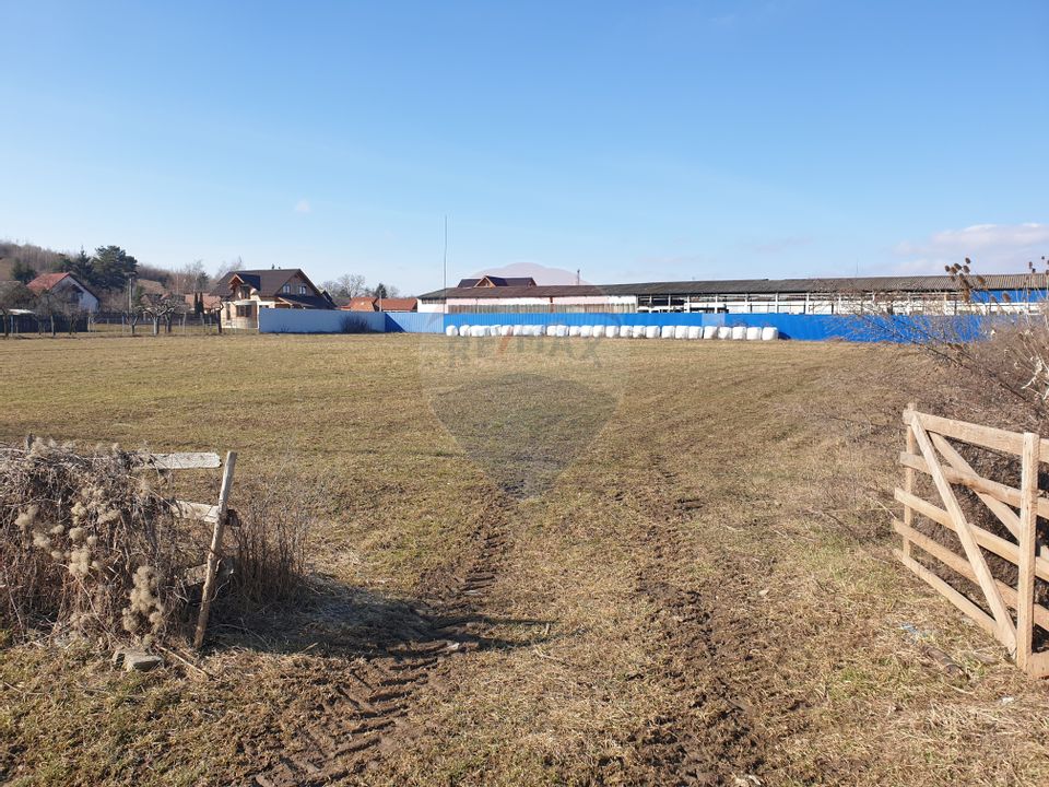 Teren intravilan, 4600 mp, Tărlungeni, DJ 103A