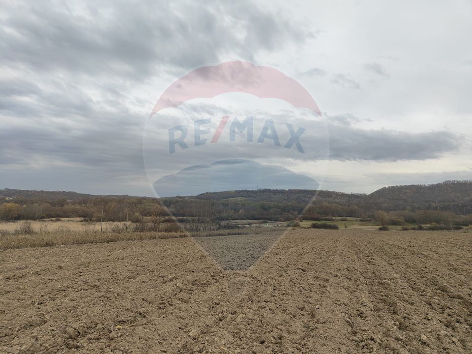 Land 11,900sqm Fardea / Drumul principal