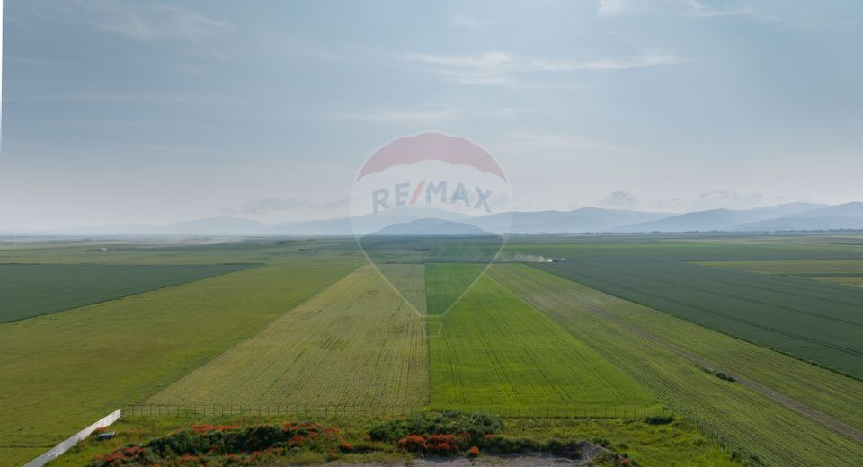 Teren 42,000mp Tarlungeni / Strada Izvor