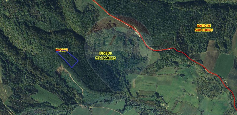 Pădure de vanzare cu zona de cabană Odesti