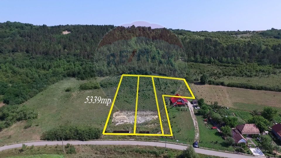 Land 5,339sqm Luna de Jos / Strada Principala