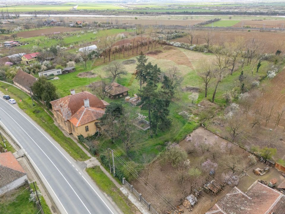 Conac aristocratic secolul XIX , domeniu  2,5 hectare — Păuliș, Arad
