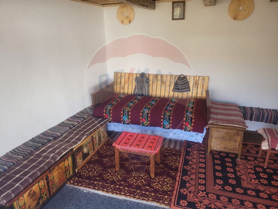 Vânzare casa la munte - zona turistica - Baia de Fier