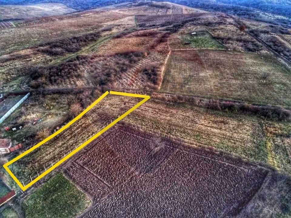 Land 1,200sqm Covasint / Strada Liliacului