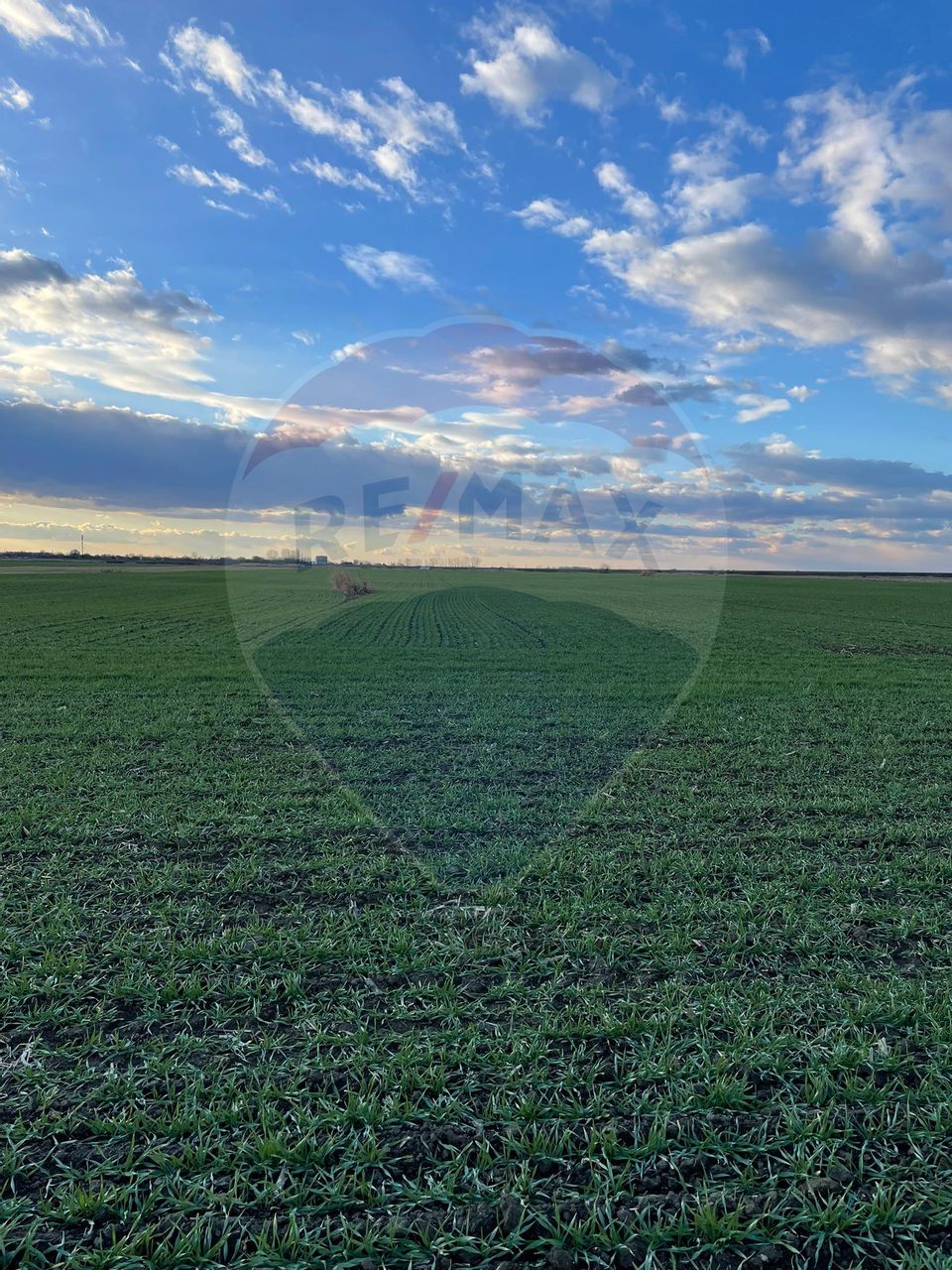 Land 10,800sqm Gruiu / None