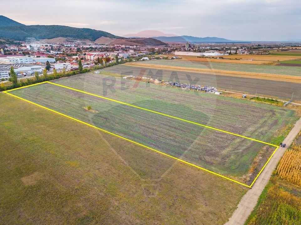 Land 10,000sqm Codlea / Drumul Drum secundar