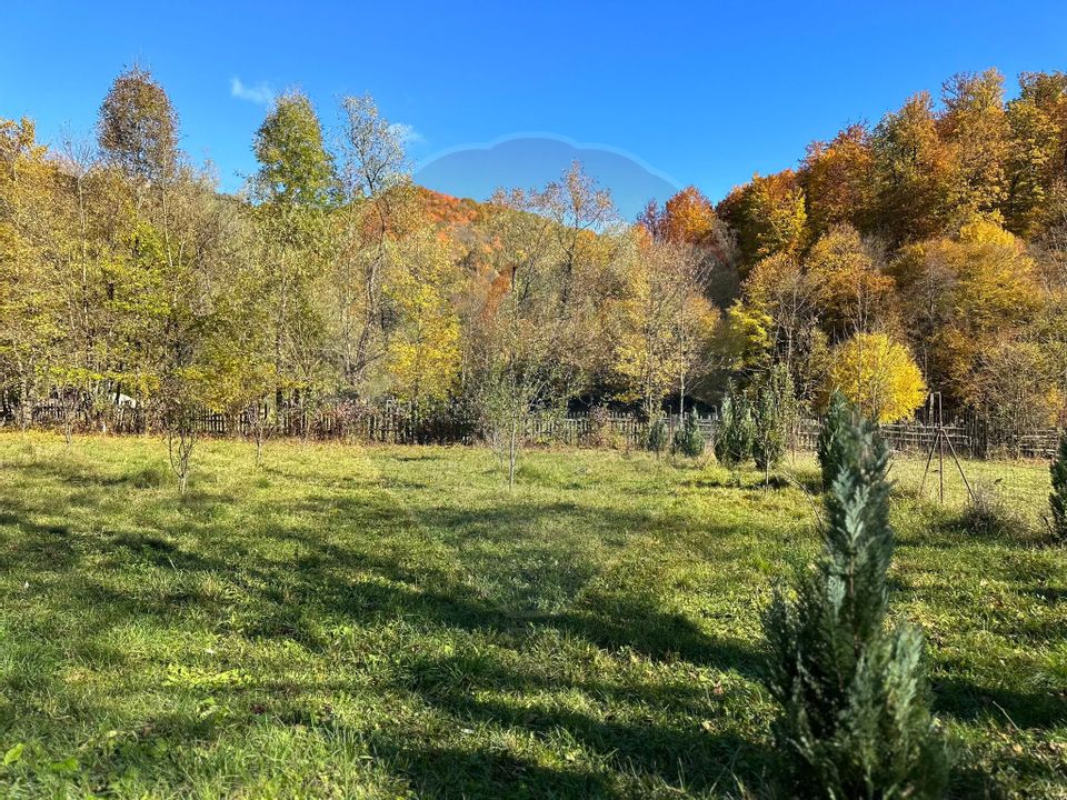 Land 1,350sqm Garcina / Strada Cuejdiului