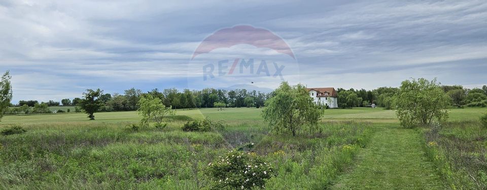 Land for sale 9.7ha | Prahova, Gorgota | 450m from DN1