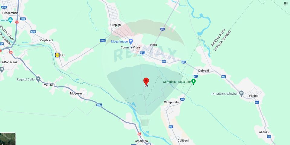 Land plot 14,815sqm for sale in Vidra, Ilfov county - Investment