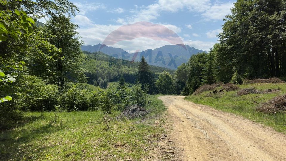 Land 6,000sqm Dalghiu / DJ 103A