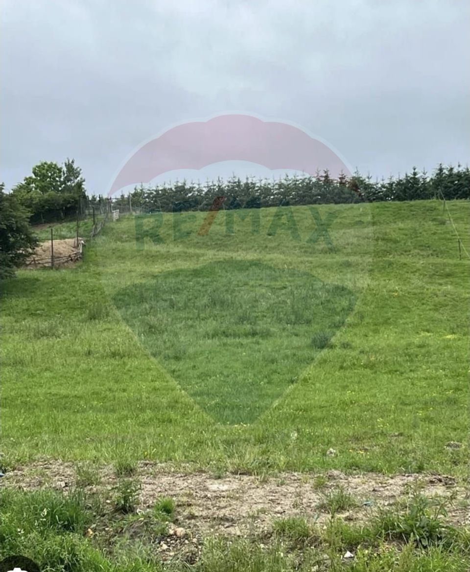 Pasune 21 ha pretabila pentru panouri fotovoltaice,impadurit