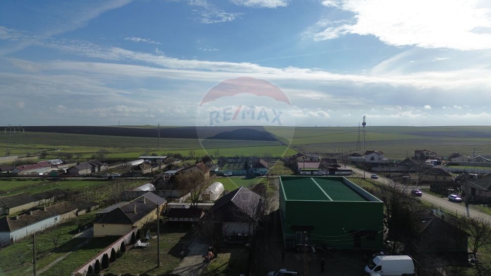 Hala industriala de vanzare in Poiana-Ovidiu