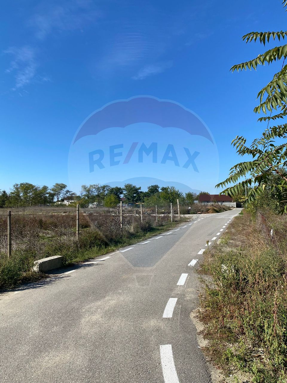 Teren 2,500mp Malu Mare / Strada BECHETULUI