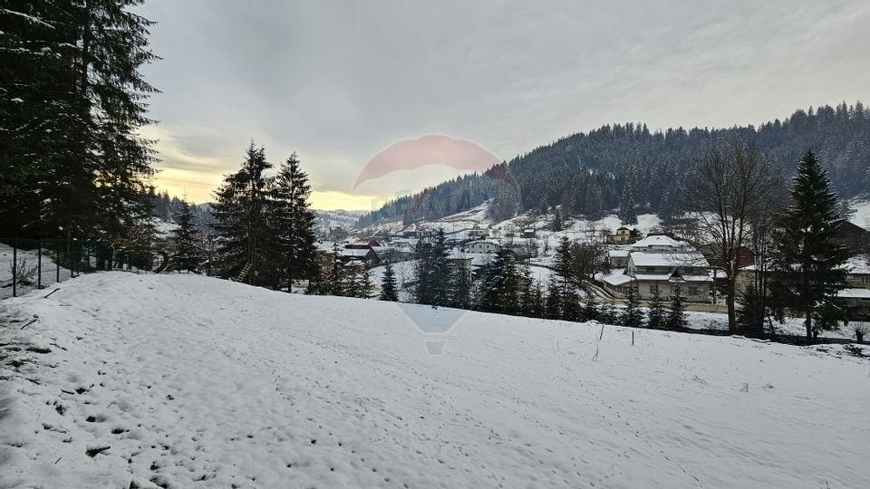 Teren in Bucovina, intravilan 3824 mp Deia-Frumosu, Suceava