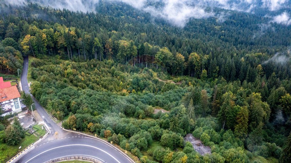 Land 3,969sqm Predeal / Strada Mihail Saulescu