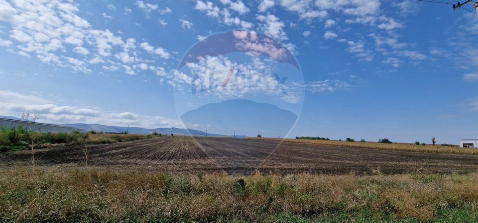 Land 4,874sqm Bacau / DN E 85