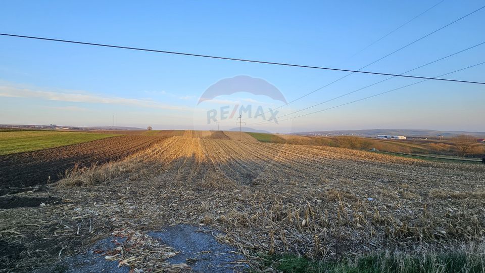 Teren Extravilan 2500 mp-Stroiesti, Suceava