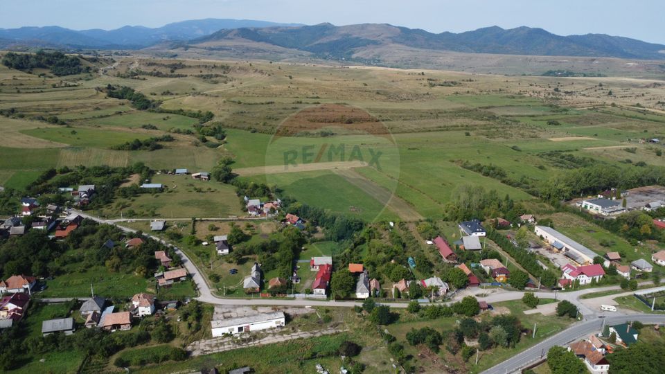Teren 10.000 mp Calatele – Apuseni, langa rau, ideal investitie turism