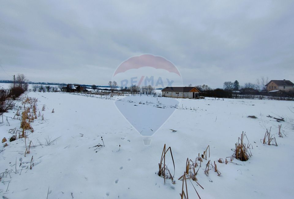 Teren intravilan 9.574 mp în Săliște, poziție strategică, ideal invest