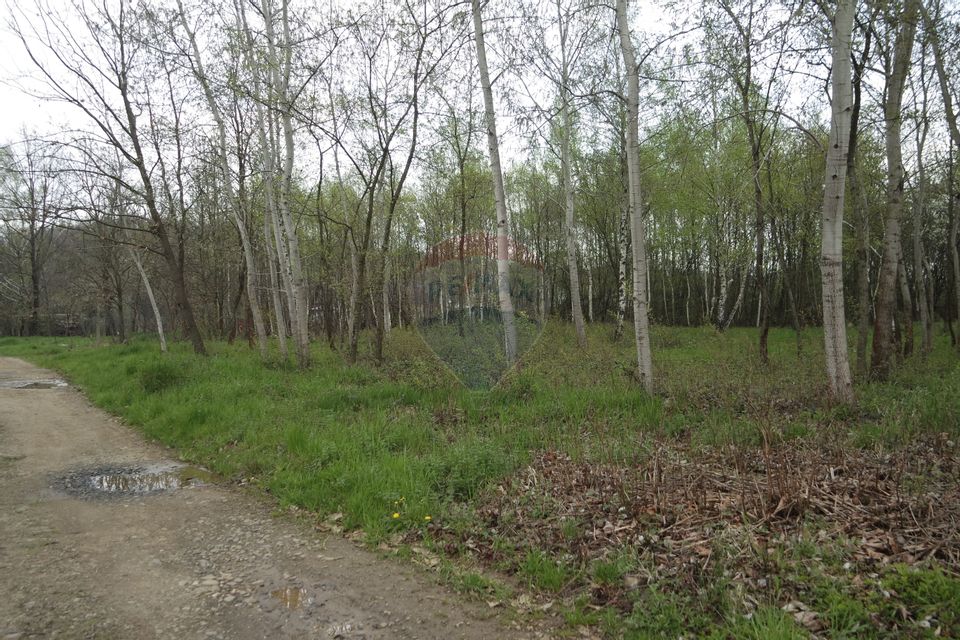 Land 1,900sqm Baia Mare / Strada 124
