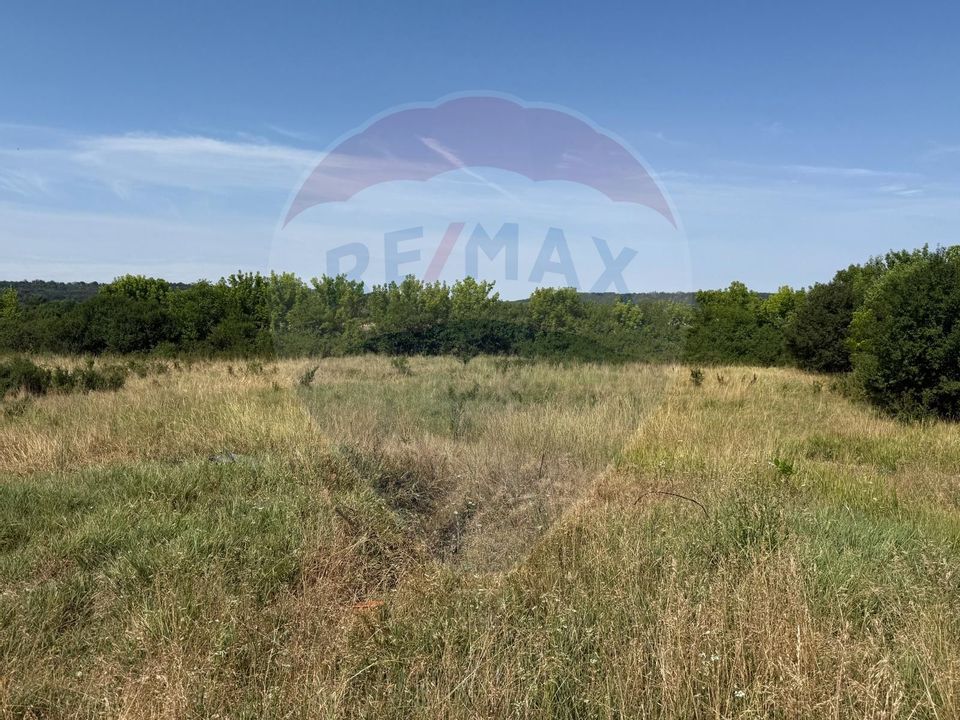 Teren Intravilan Craiova 2500 mp Strada Popoveni