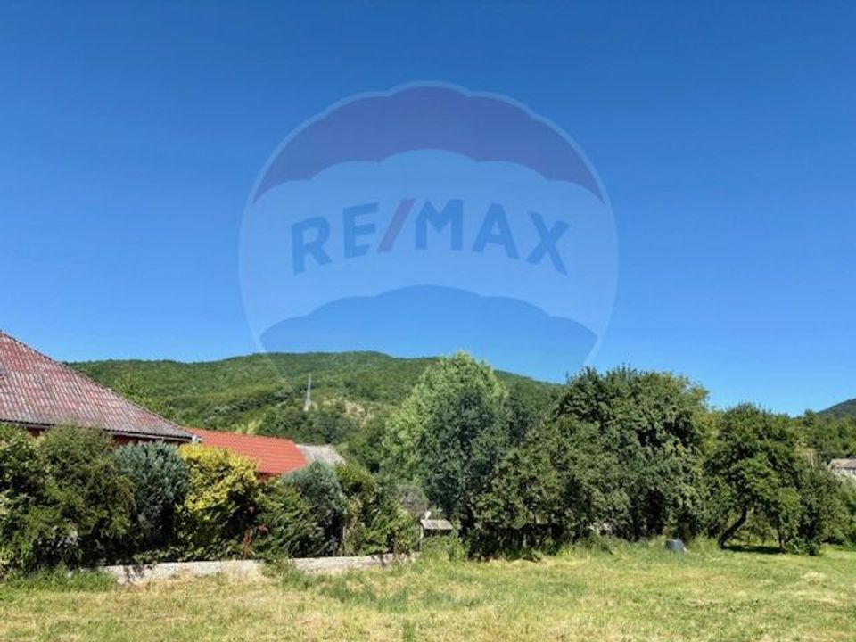 Land 3,154sqm Barsana / Intrarea principala