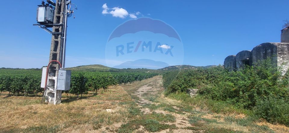 Land 50,500sqm Siria / DJ 709