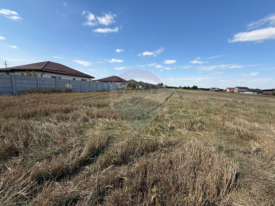 Land 5,000sqm Sabareni / Strada Trandafirilor