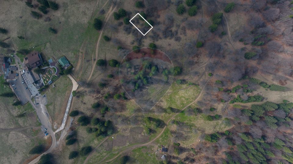 Land 1,000sqm Poiana Brasov / Strada Pastorului