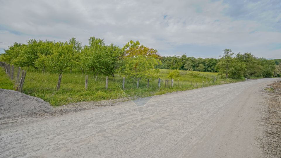 Casă cu 4 camere de vânzare in Racos, COMISION 0%!