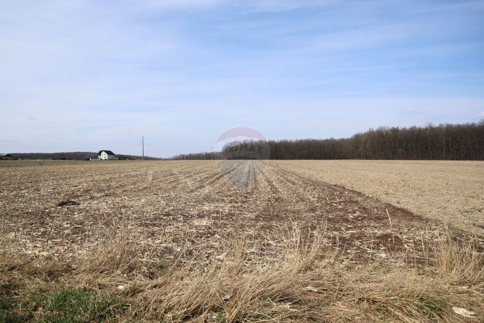 Teren 9,740mp Suceava / Strada Principala