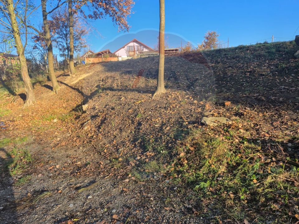 Land 1,020sqm Recea / Strada Florilor