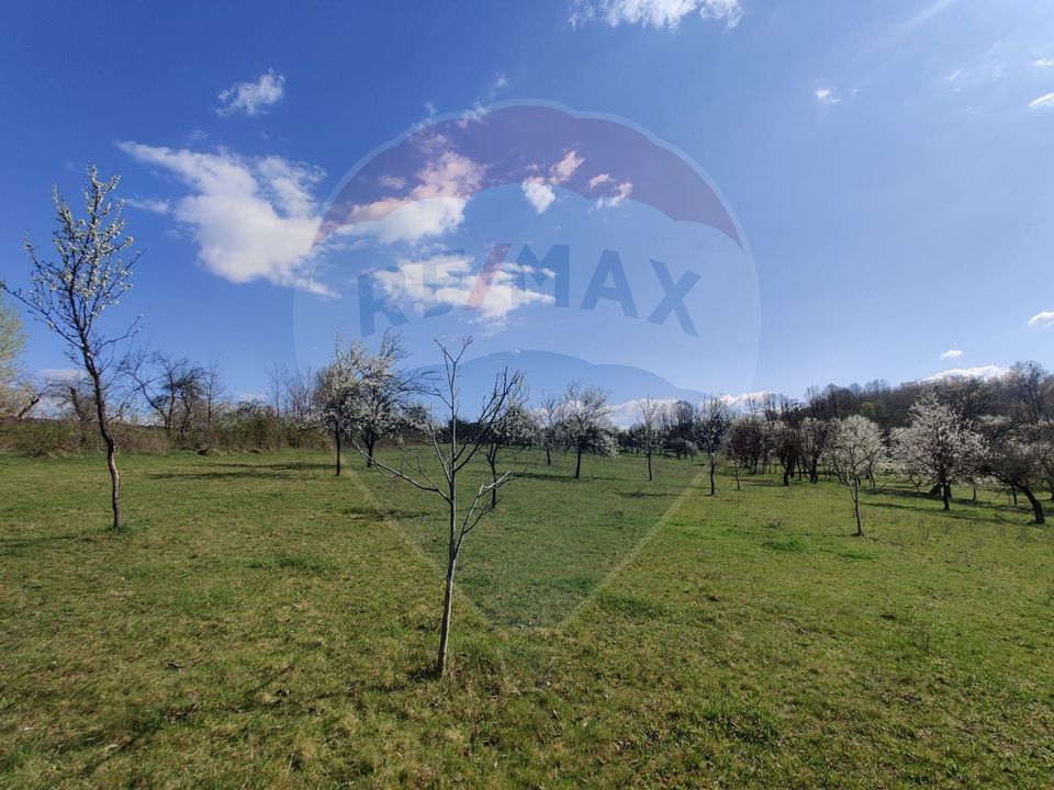 Teren intravilan pentru casă Cărbunari