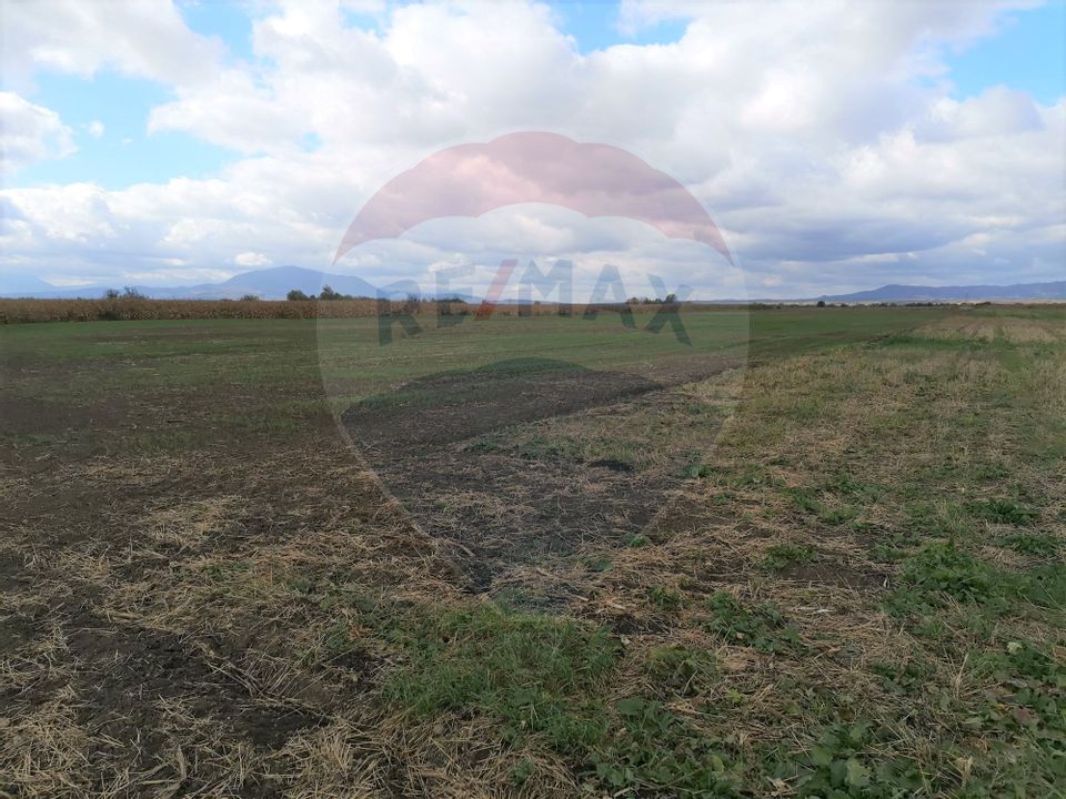 Land 15,000sqm Halchiu / DN 13