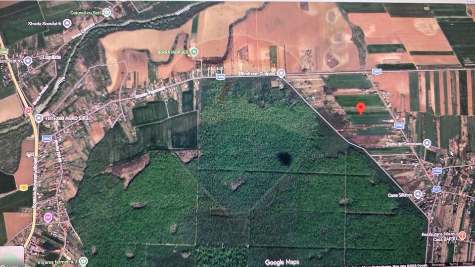 Teren 704 mp Silistea Snagovului vecinatate Padurea Snagov