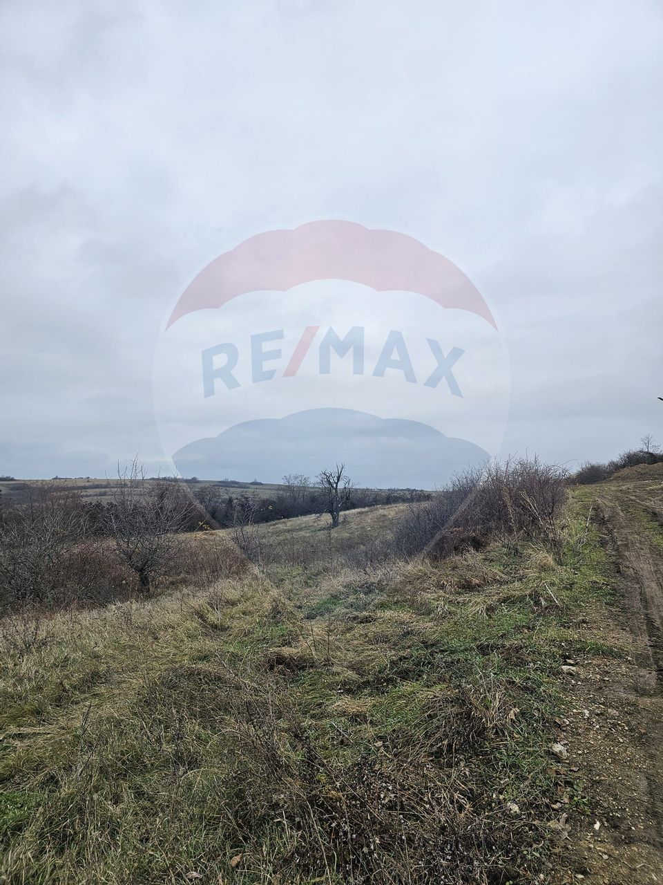 Land 1,000sqm Sura Mare / Strada Brazilor