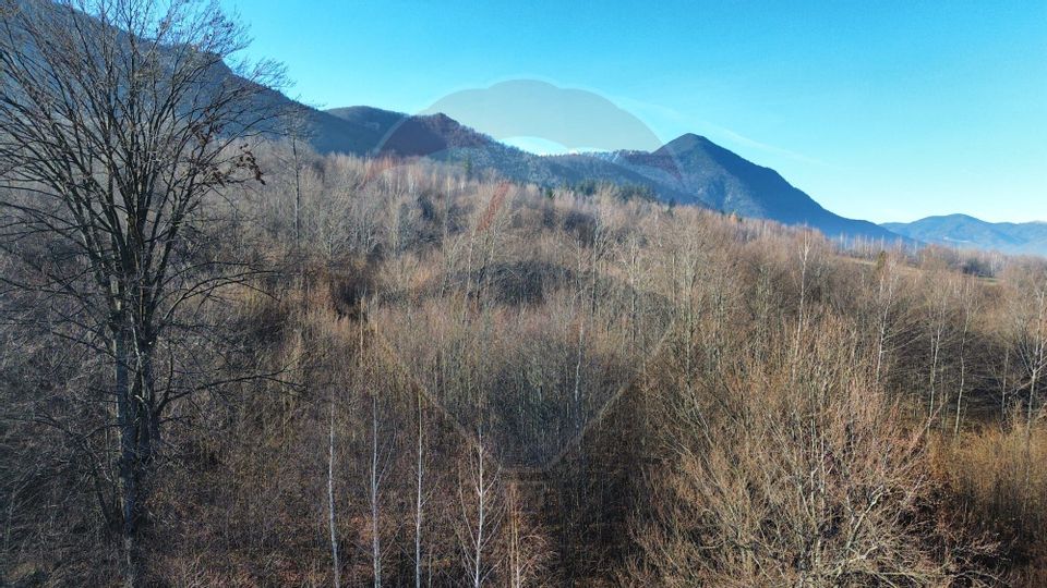 7 room House / Villa for sale, Tohanita area