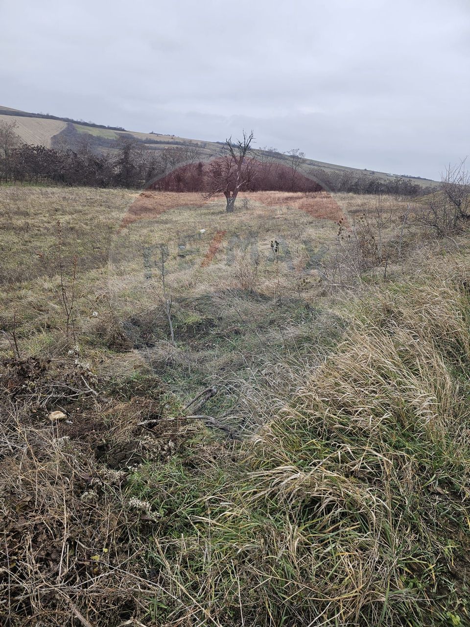 Land 1,000sqm Sura Mare / Strada Brazilor