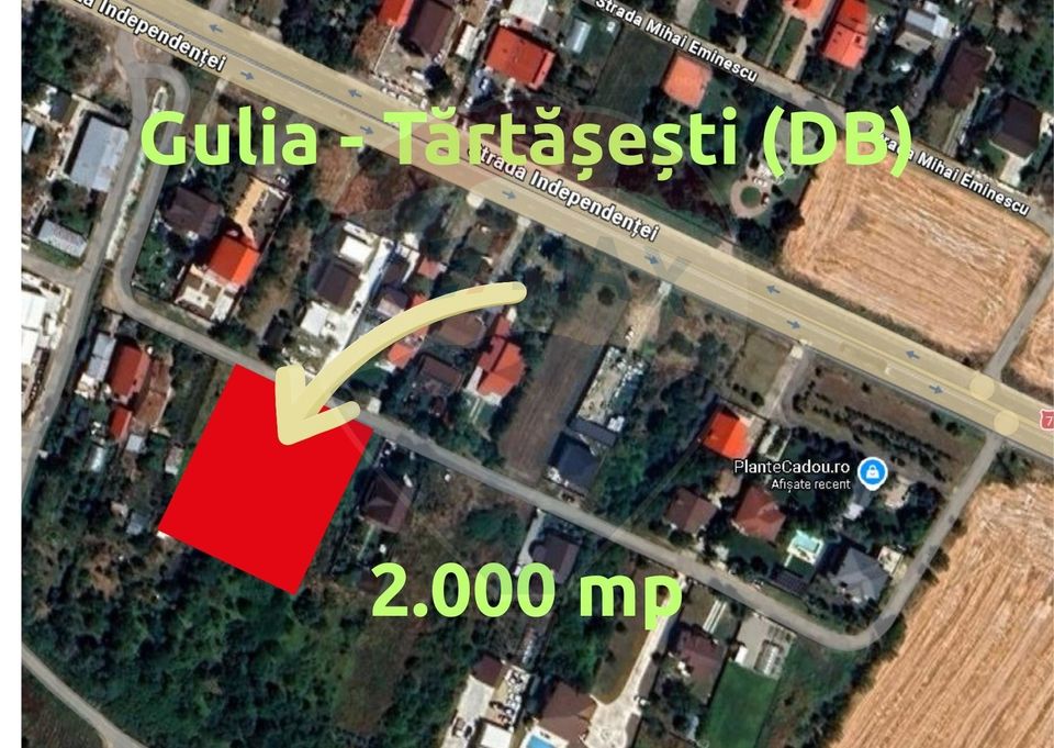 Land 2,000sqm Tartasesti / DJ Tarla