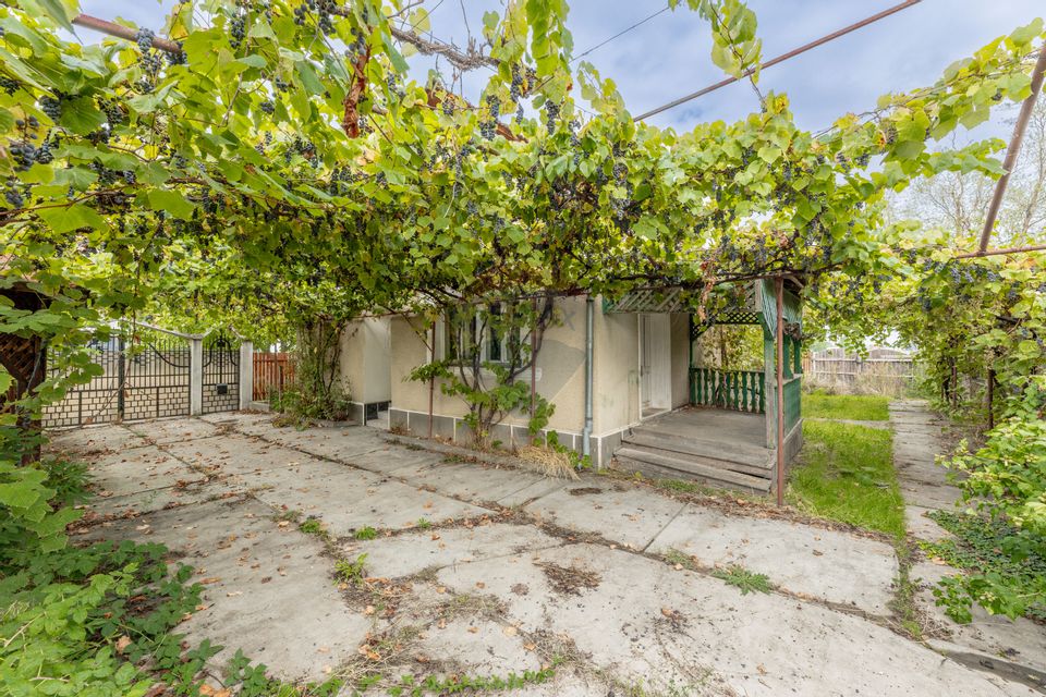 Casă spatioasa in Pancota ideala pentru doua familii