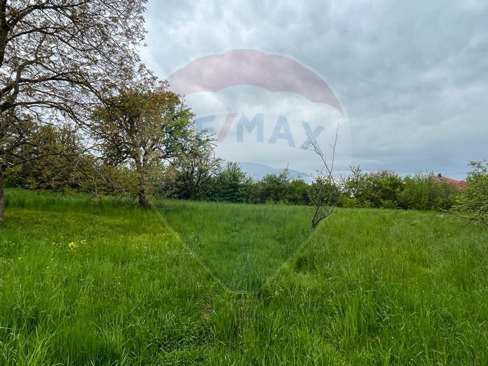 Land 925sqm Cluj-Napoca / Strada COLONIA FAGET