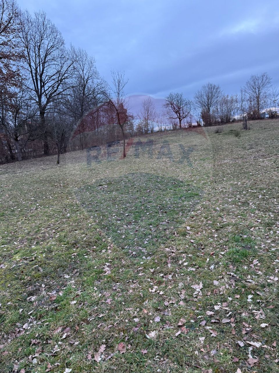 Teren intravilan cu priveliste de vanzare in Rus