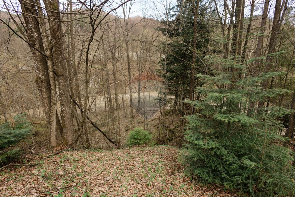 Land 30,283sqm Cazaci / Strada Principala DC 135