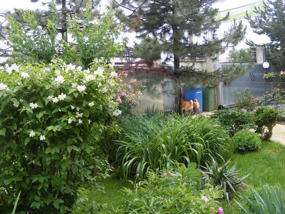 7 room House / Villa for sale