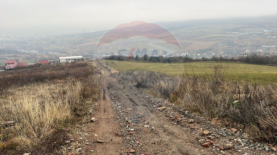 Land 544sqm Padureni (Chinteni) / Strada Principala