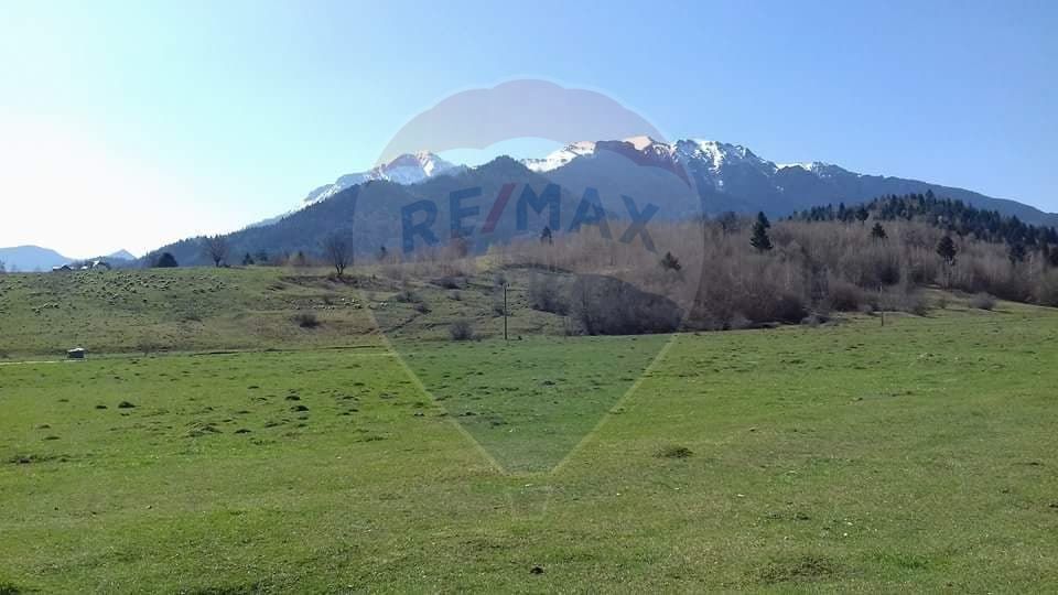 Teren Rasnov-Glajerie 2500 mp marginit de parau