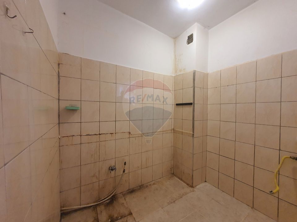 1 room Apartment for sale, Milcov area