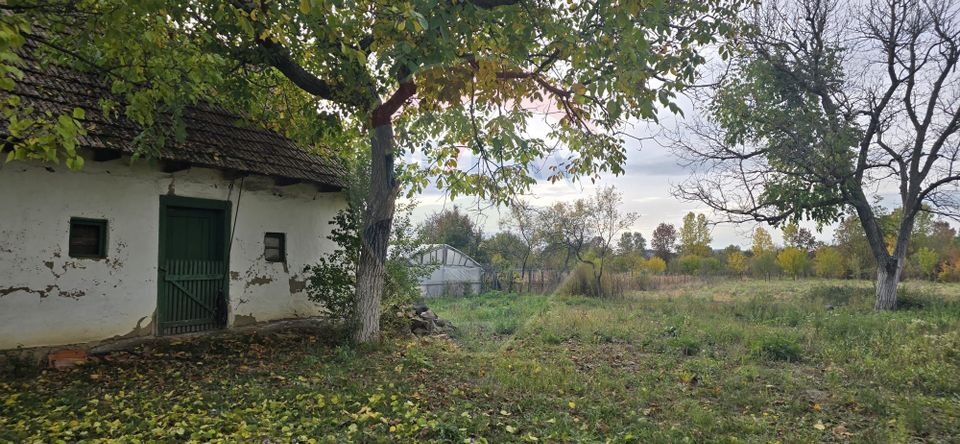 Teren generos cu potential în comuna Silindia, judetul Arad