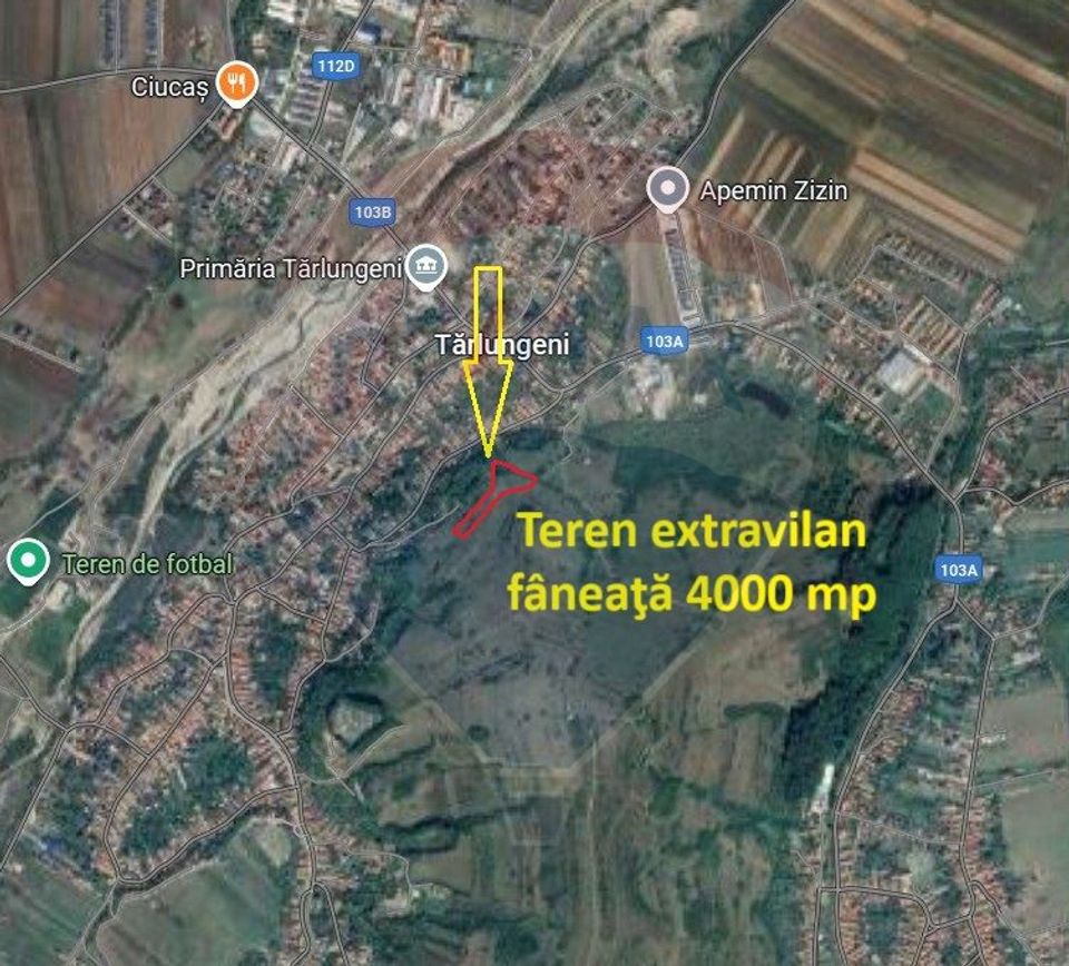 Teren extravilan, fâneaţă, 4000 mp, Tărlungeni